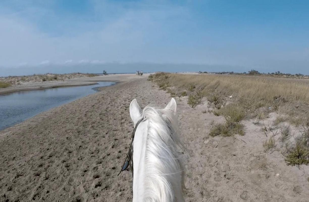 "La Pradeto" Gite Rural Camargue Arles Exterior photo